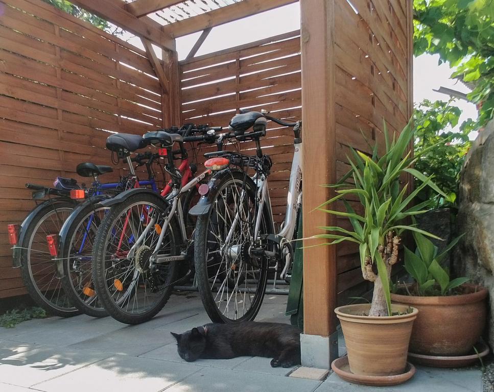 Ferienwohnung Am Elberadweg 드레스덴 외부 사진