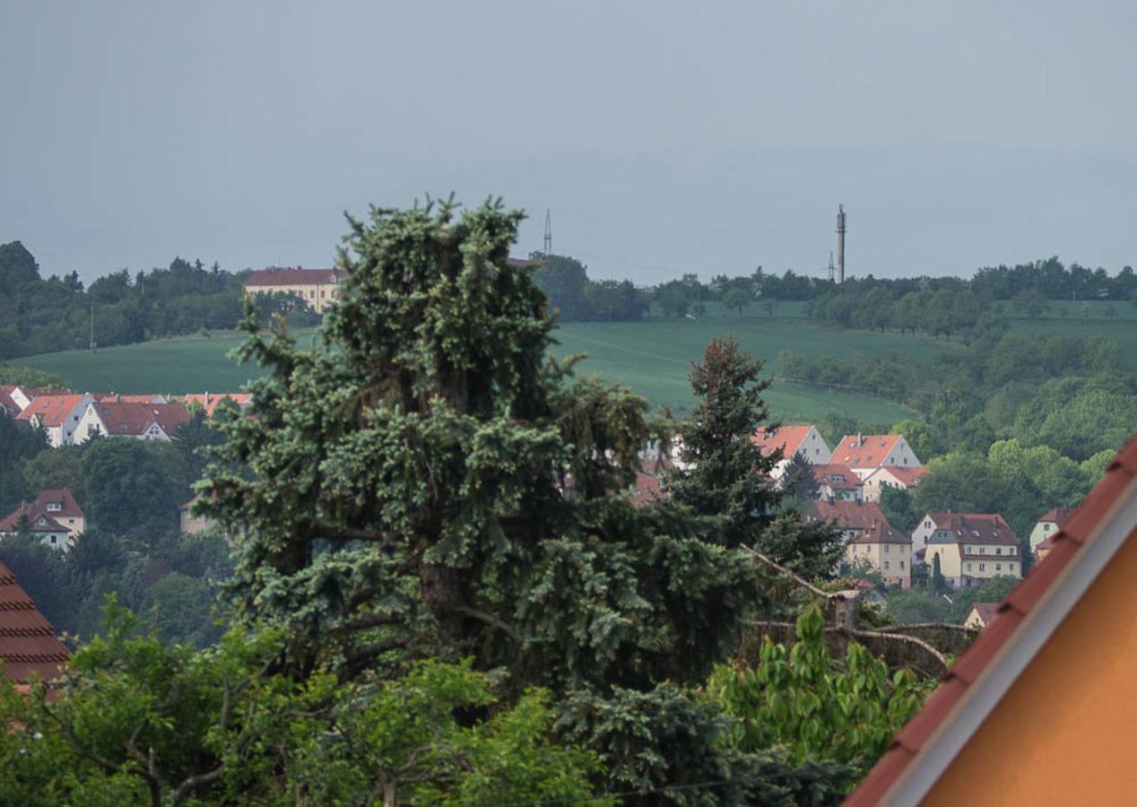 Ferienwohnung Am Elberadweg 드레스덴 객실 사진